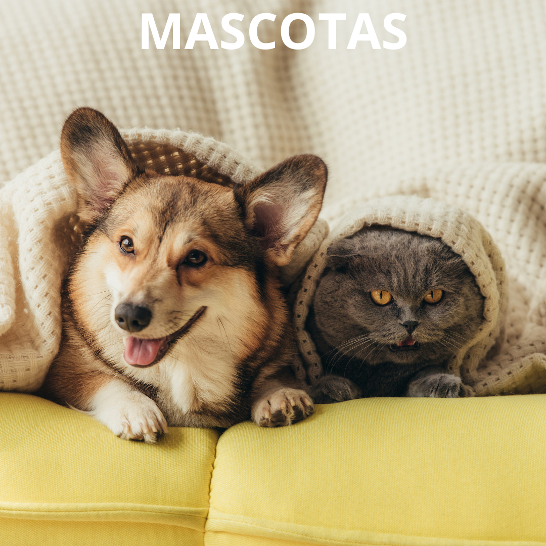 Mascotas