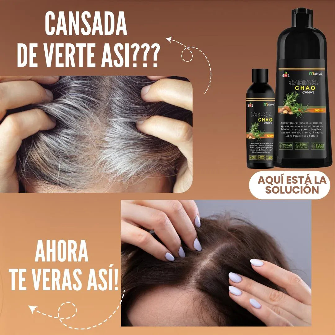 SHAMPOO CHAO CANAS 3 EN 1 ➕ TRATAMIENTO ACTIVADOR