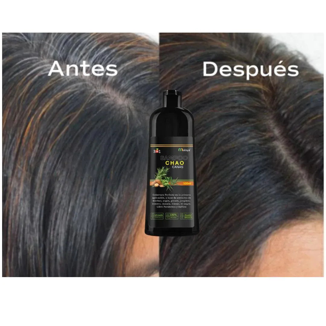 SHAMPOO CHAO CANAS 3 EN 1 ➕ TRATAMIENTO ACTIVADOR