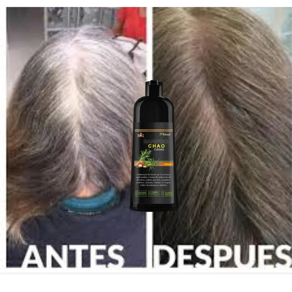 SHAMPOO CHAO CANAS 3 EN 1 ➕ TRATAMIENTO ACTIVADOR