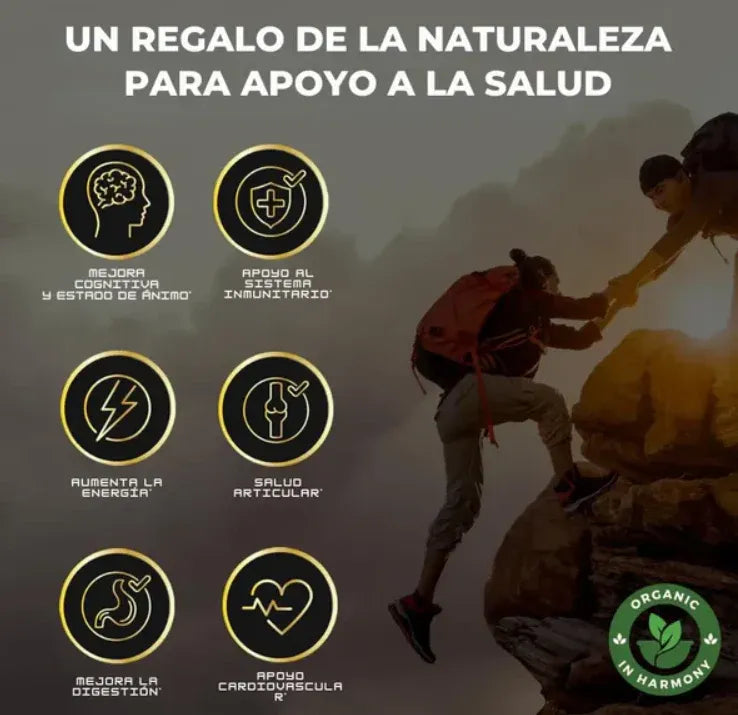 Gomas Premium Shilajit - Fuerza, Vitalidad y Energía